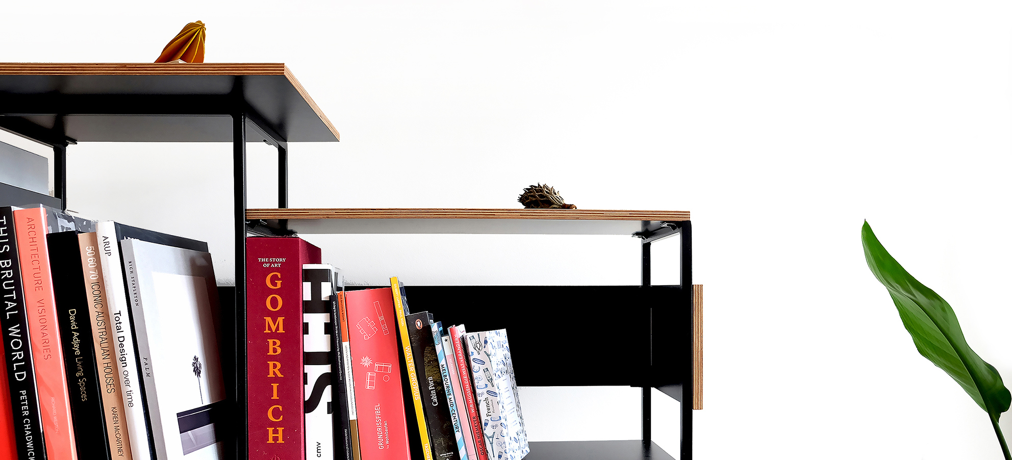 NAKA Shelf &copy;Fitzroy Klee 2018